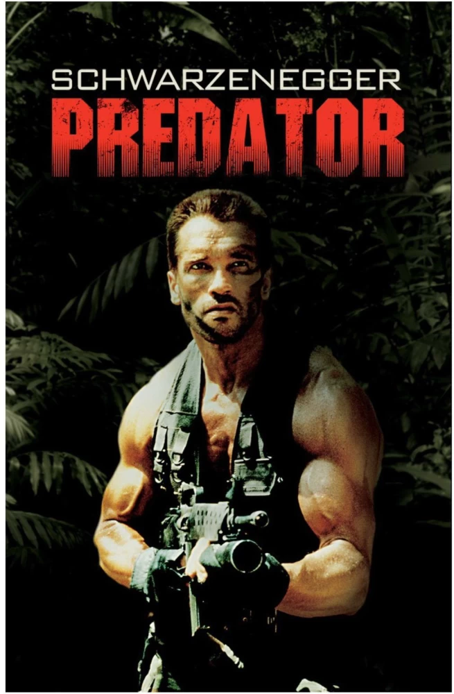 Any Video By Blocs Builder